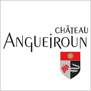 chateau angueiroun logo